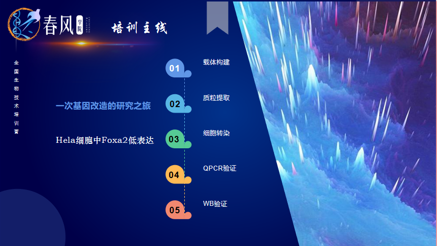【春風(fēng)學(xué)院】2023年全國(guó)生物醫(yī)學(xué)分子細(xì)胞實(shí)驗(yàn)技術(shù)特訓(xùn)營(yíng)開(kāi)班！為期5天