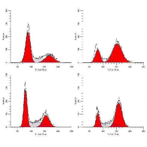 細胞流式周期檢測
