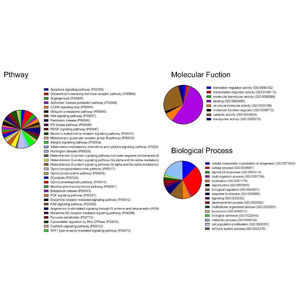 RNA pull down+MS質(zhì)譜結(jié)果分析
