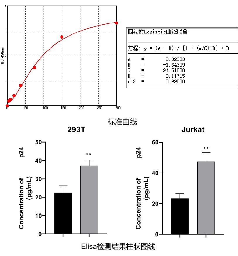ELISA檢測蛋白含量