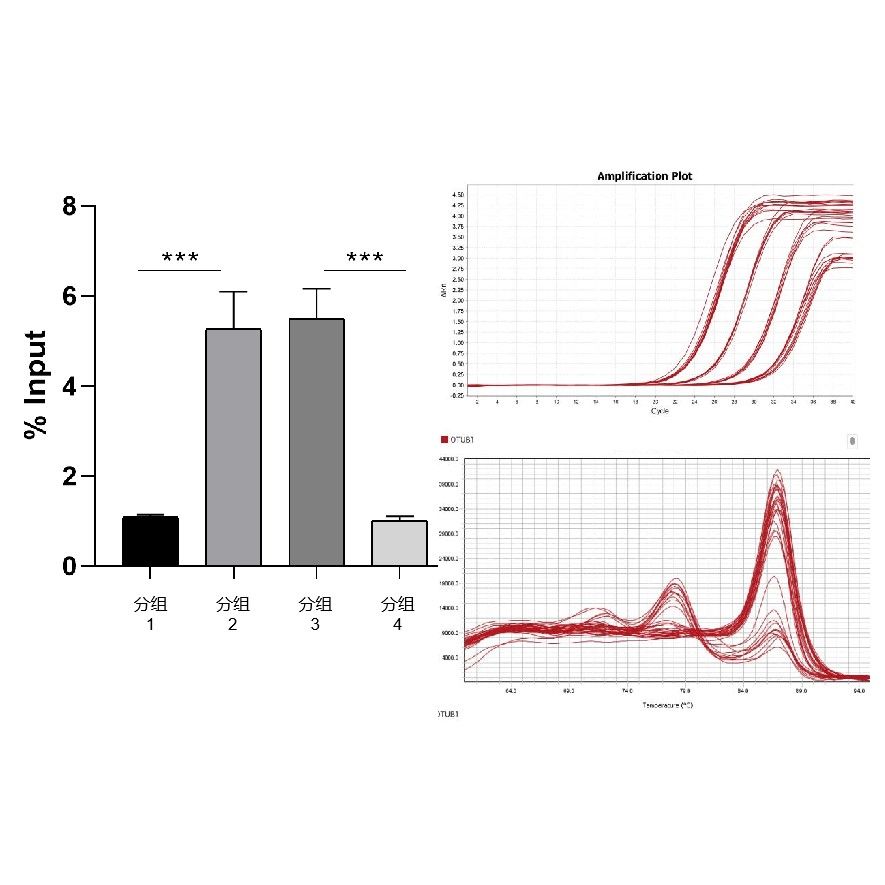 QPCR 檢測