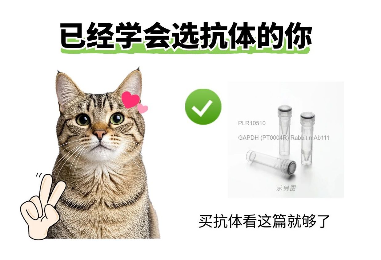 2025年了，我不允許還有人不知道抗體選哪家！