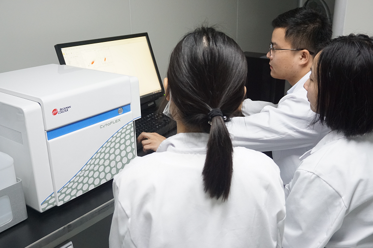 流式檢測(cè)細(xì)胞周期