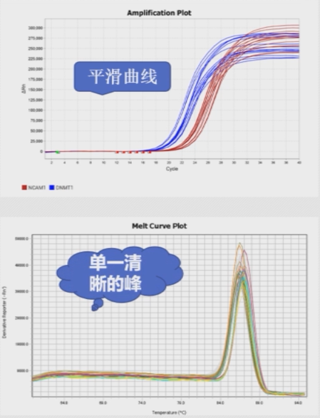 1618889947123661.png 40469B03-6A22-456a-8248-1216D18ECAD2.png